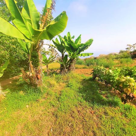 Casa En Finca Ecologica - Wifi La Orotava Ngoại thất bức ảnh