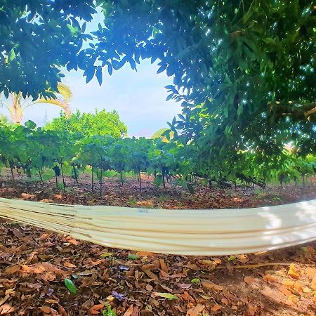 Casa En Finca Ecologica - Wifi La Orotava Ngoại thất bức ảnh