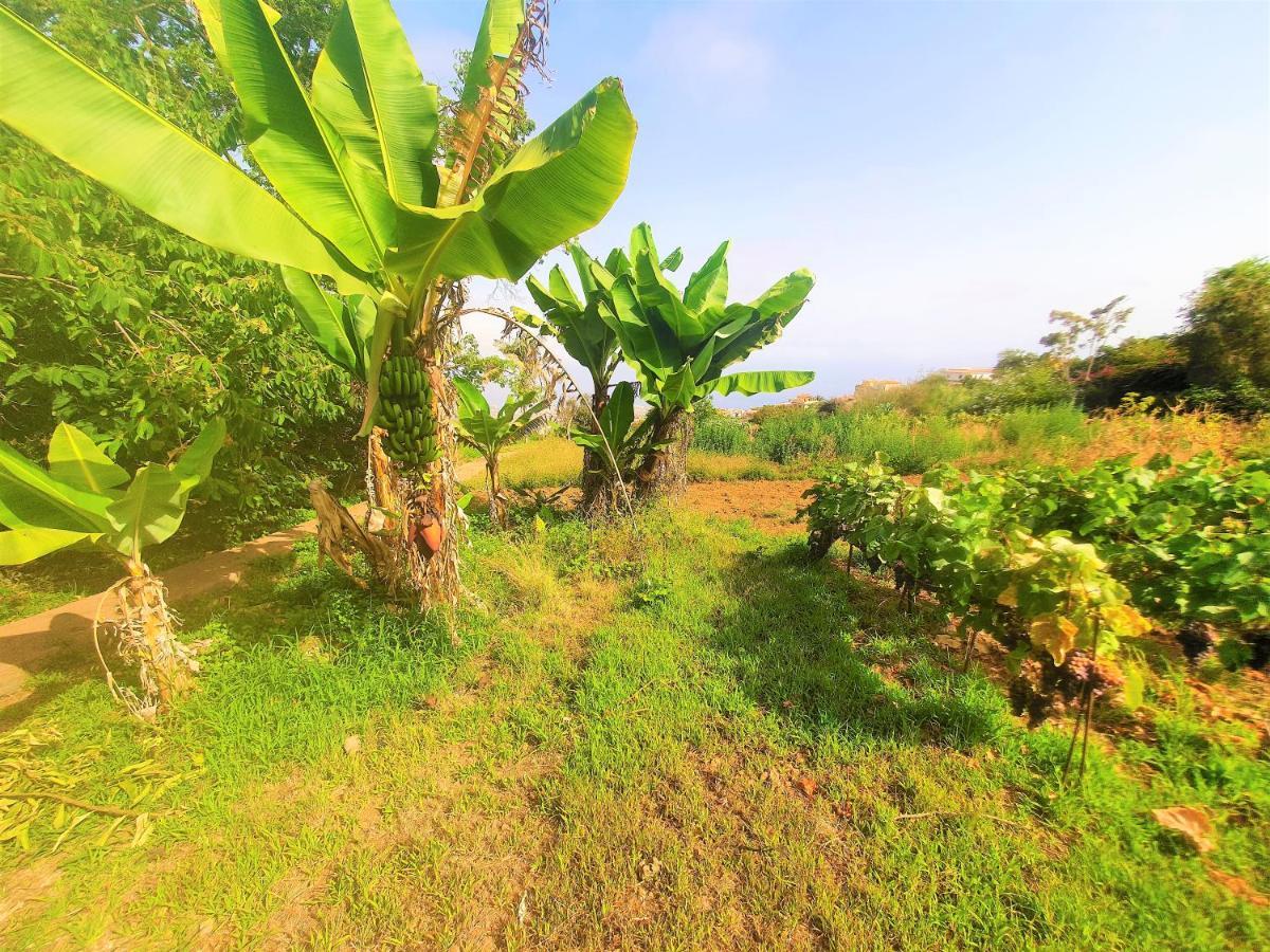 Casa En Finca Ecologica - Wifi La Orotava Ngoại thất bức ảnh