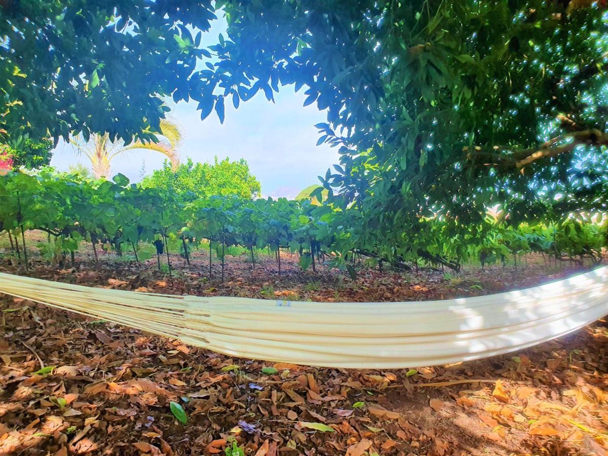 Casa En Finca Ecologica - Wifi La Orotava Ngoại thất bức ảnh