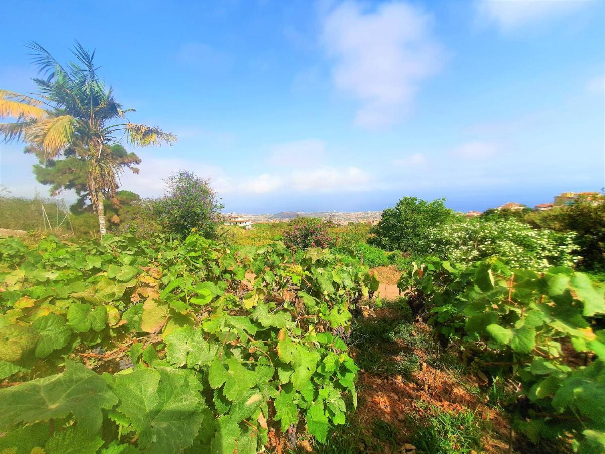 Casa En Finca Ecologica - Wifi La Orotava Ngoại thất bức ảnh