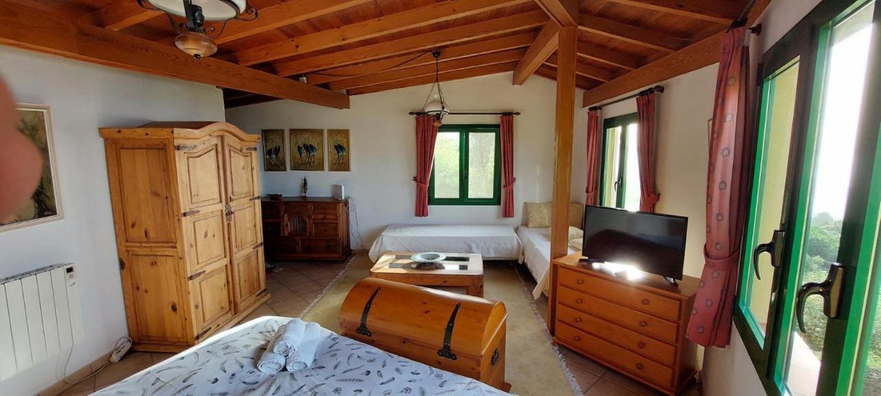 Casa En Finca Ecologica - Wifi La Orotava Ngoại thất bức ảnh