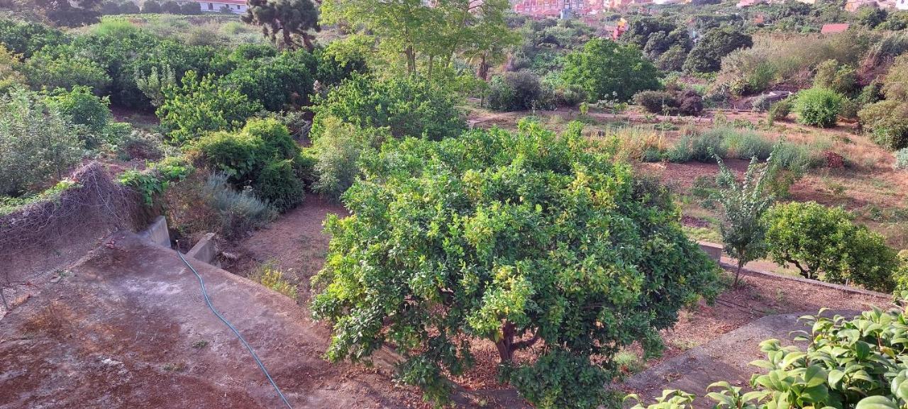 Casa En Finca Ecologica - Wifi La Orotava Ngoại thất bức ảnh